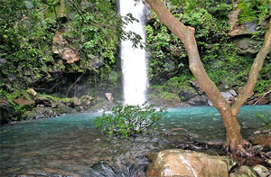 Waterfalls Guanacaste, Tours & Activities